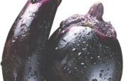 وصفة الباذنجان المخلل من مطبخ حواء